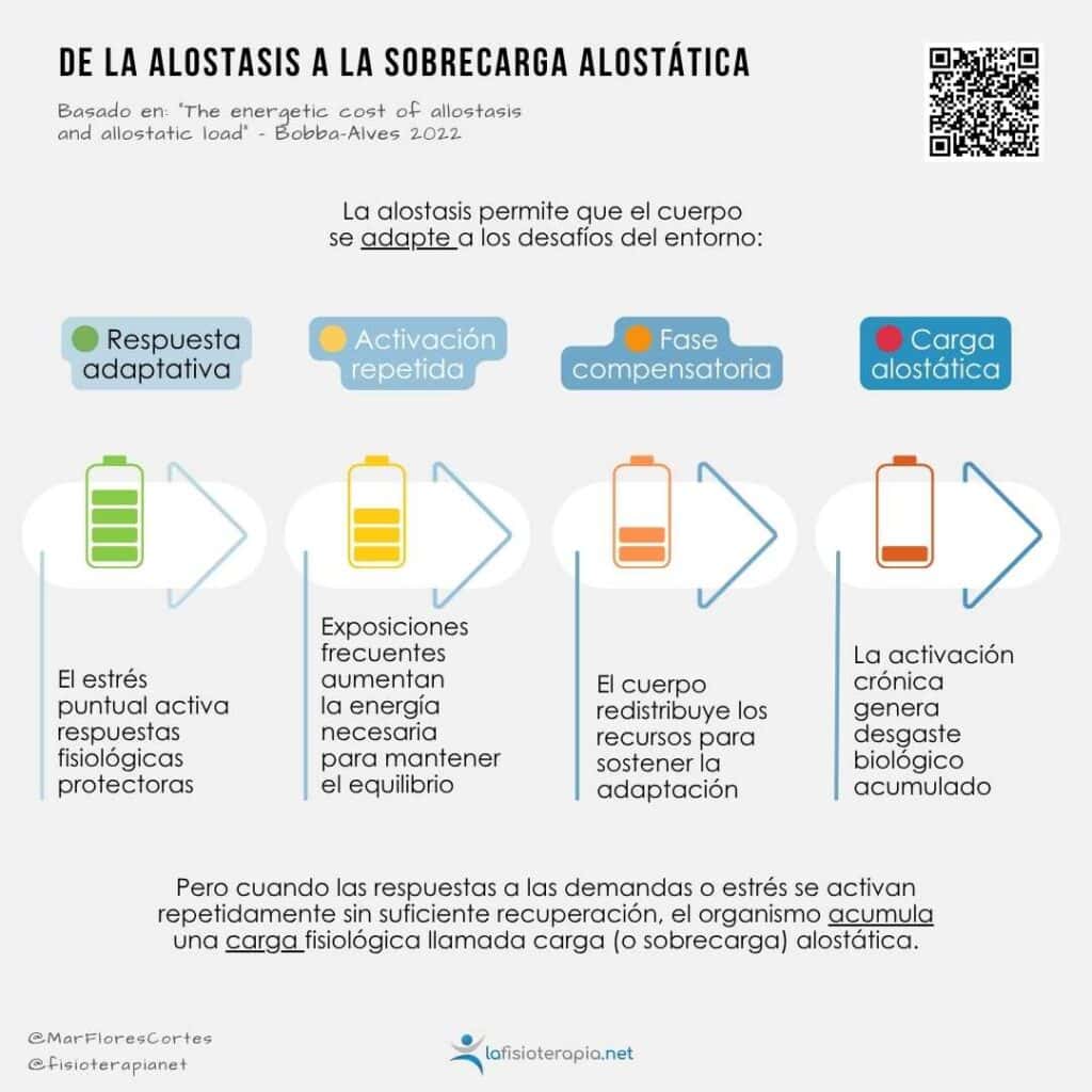 Infografía sobre la alostasis and sobrecarga alostática.